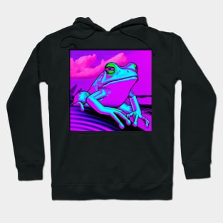 Vaporwave Frog Hoodie